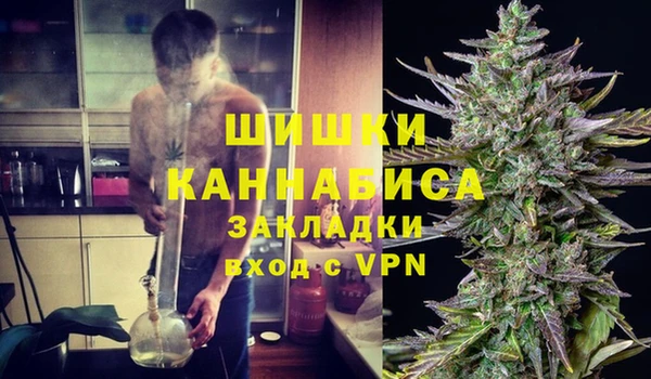 шишки Надым