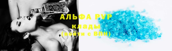 шишки Надым