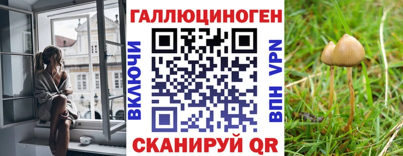 Купить  Туймазы  Галлюциногенные грибы Psilocybine cubensis 